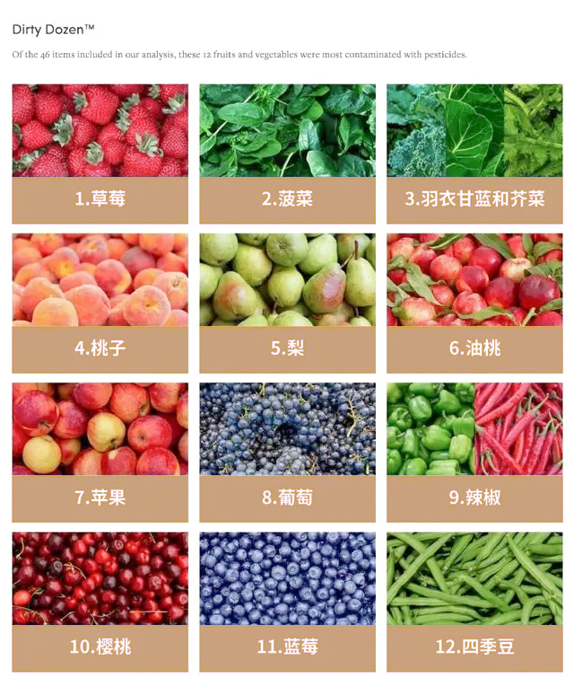 3c6d55fbb2fb4316649654d23854bd280bf7d38c.webp.jpg