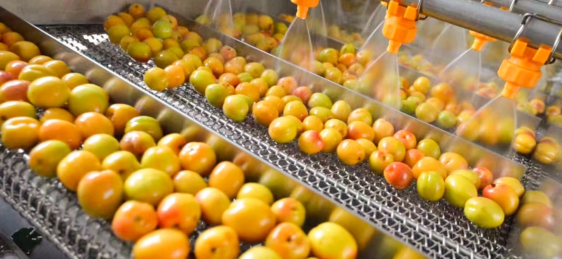 Fruit and Vegetable Processing