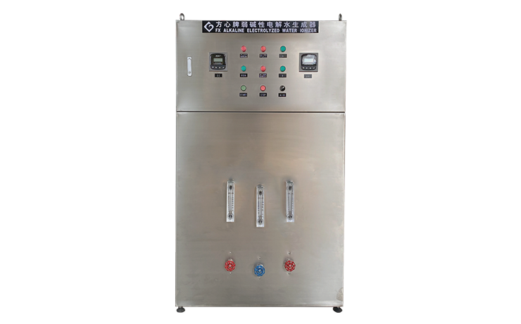 Alkaline Water Ionizer（2T/H）