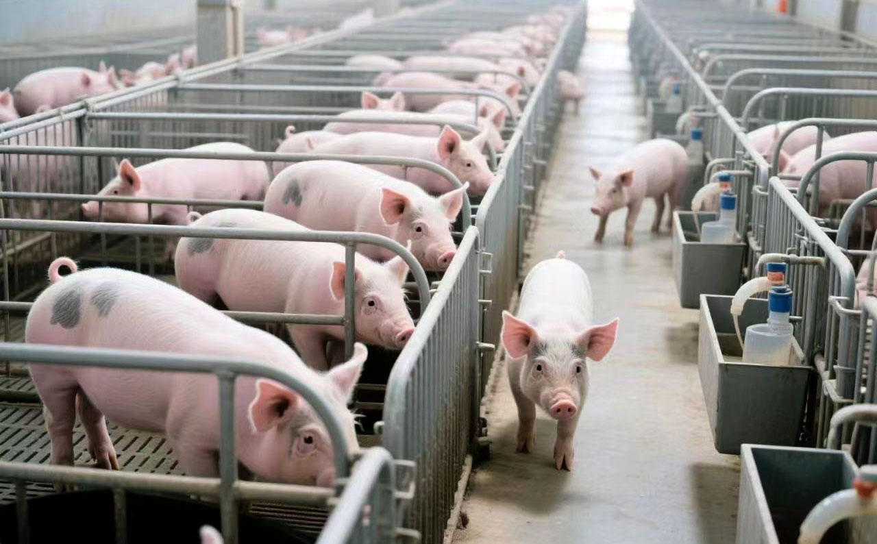 Livestock Odor Control