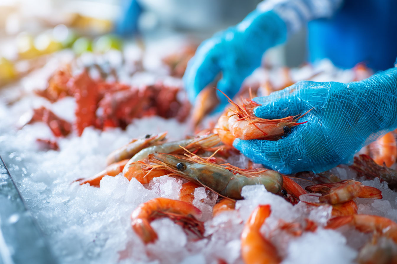 Aquatic Products Processing